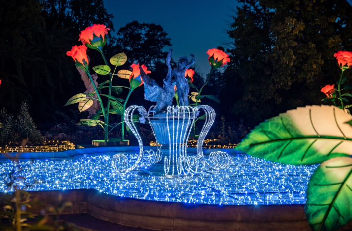 Ogród Różany, Królewski Ogród Światła