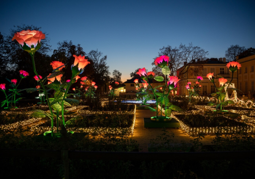 Ogród Różany, Królewski Ogród Światła