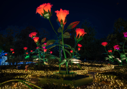 Ogród Różany, Królewski Ogród Światła