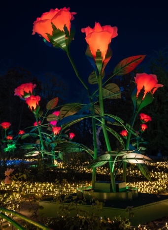 Ogród Różany, Królewski Ogród Światła