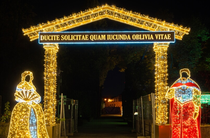 Instalacja: Królewskie Życie, Królewski Ogród Światła