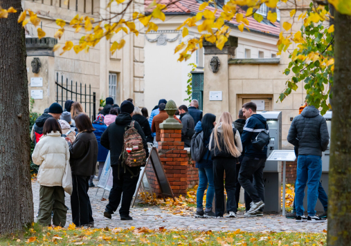 Instalacje Królewskiego Ogrodu Światła
