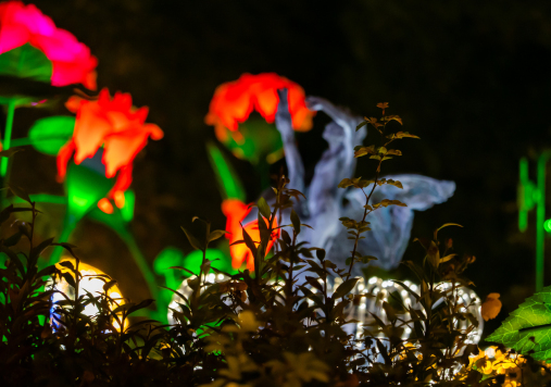 Instalacje Królewskiego Ogrodu Światła